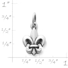 Fleur-De-Lis Charm
