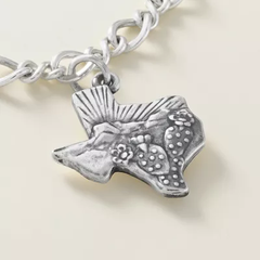 Texas Landscape Charm