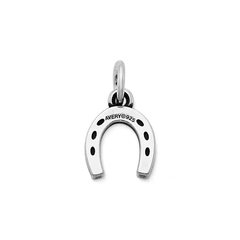Horseshoe Charm