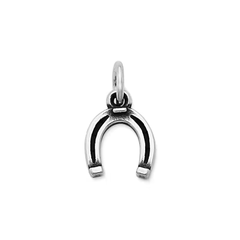 Horseshoe Charm