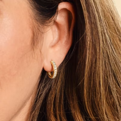 Delicate Pave Diamond Hoops