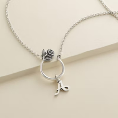 Rose Changeable Charm Holder Necklace