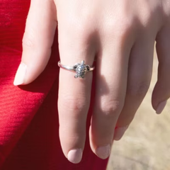 Sea Turtle Ring