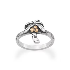 Tropical Palm Tree Ring