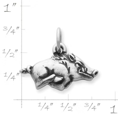 Arkansas Razorback Charm