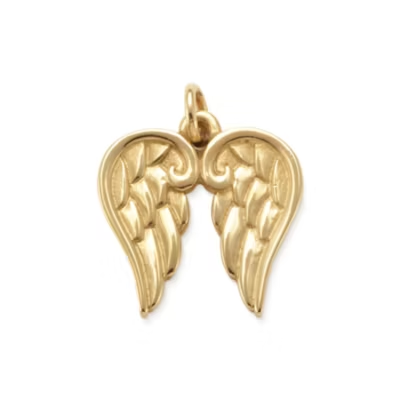 Angel Wings Charm