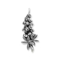 Bluebonnet Charm